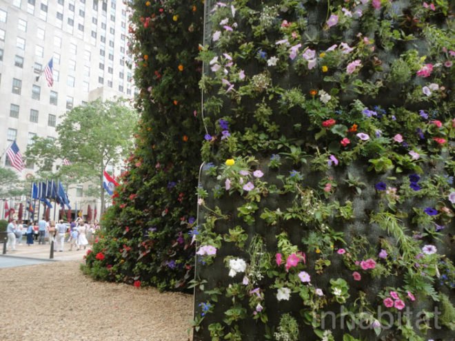 green design, eco design, sustainable design, Jeff Koons, Split-Rocker, Whitney Museum of American Art, Rockefeller Center, living sculpture, plant sculpture, Public Art Fund