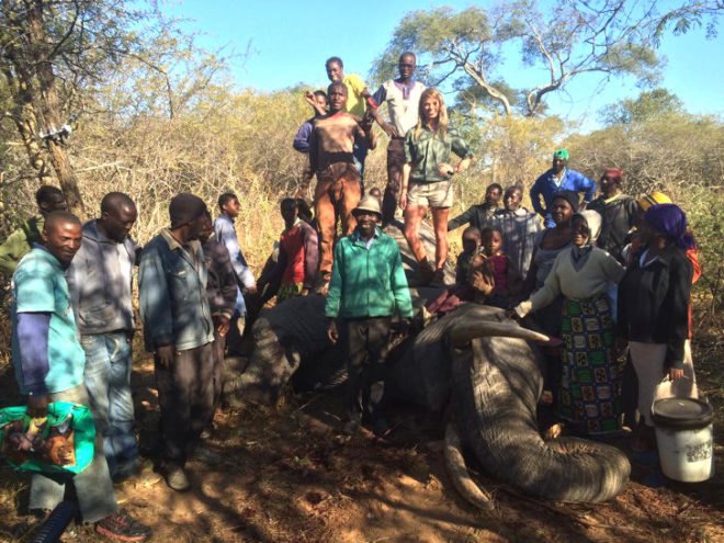 Kendall Jones, big game hunting, elephants, lions, leopards, rhinos, hippos, Africa, Namibia, Zimbabwe, endangered animals, hunting, CITES, petitions