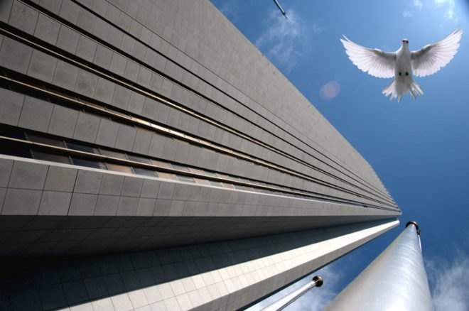 CollidEscape, collide, collisions, bird, birds, bird collisions, bird deaths, bird fatalities, migrating birds, migrating bird death, migration fatalities, glass, glass buildings, glass cover, bird-friendly glass, bird friendly glass, glass covering, glass film, energy saving, save birds, save the birds