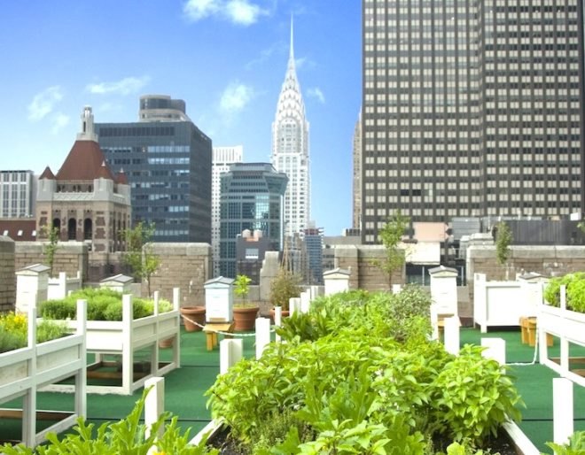 urban rooftops, rooftop gardens, rooftop gardens in NYC, rooftop gardens in Manhattan, Leslie Adatto, Roof Explorer’s guide, 101 new york city rooftops, nyc rooftops, green roofs, green roofs in nyc, 230 fifth ave, le bain at the standard, waldorf-astoria rooftop garden, 5 boro green roof garden, Brooklyn botanic green roof, garden of stones rooftop garden, andy goldsworthy