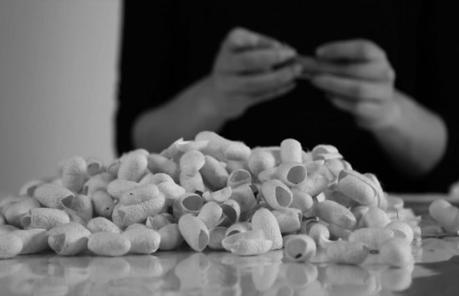 Marlène Huissoud, silkworm cocoons, beehive resin, propolis, sericin, glass blowing, organic furniture, natural by-products, biodegradable materials, sustainable materials, furniture design, rubber trees