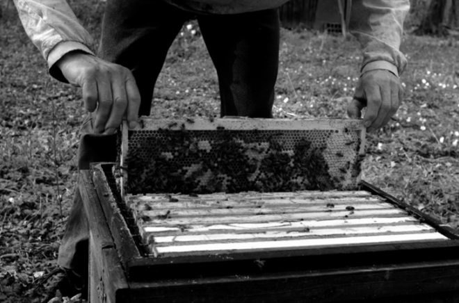 Marlène Huissoud, silkworm cocoons, beehive resin, propolis, sericin, glass blowing, organic furniture, natural by-products, biodegradable materials, sustainable materials, furniture design, rubber trees