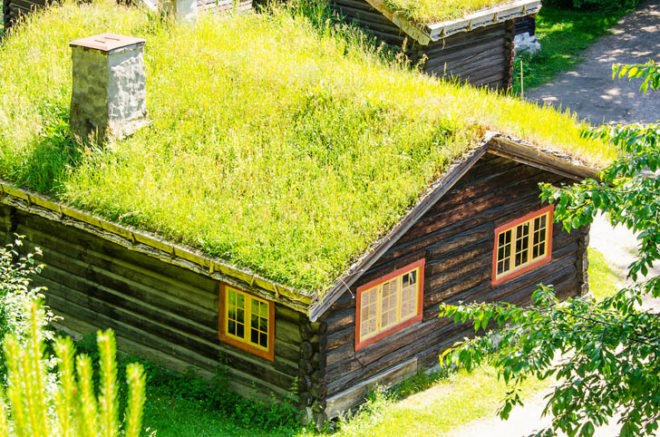 green roof, living roof, succulents, sedums, grasses, herbs, living architecture, DIY, bio-architecture