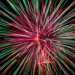 A red, white and green firework exploding