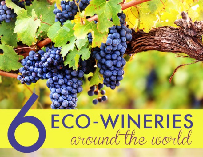 top eco wineries, eco wineries, eco wine, eco vineyards, sustainable wine growing, sustainable viticulture