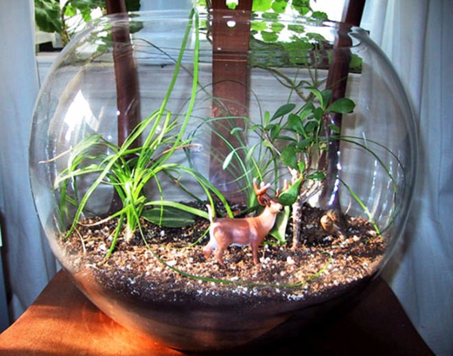 Terrarium, terrariums, glass bowl, glass bowl terrariums, DIY, How-to, how to, how to make a terrarium, make your own terrarium, moss, stones, rocks, sphagnum, miniatures, scenes, animal terrarium