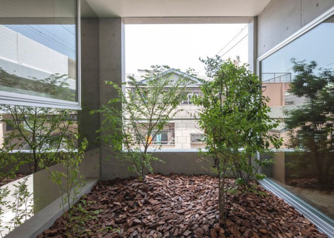 House-K Tokyo, interior gardens, residential architecture Tokyo, Japanese architects, K2YT architecture, Japanese architecture, natural light, exposed concrete house