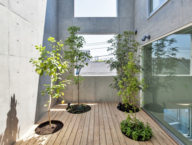 House-K Tokyo, interior gardens, residential architecture Tokyo, Japanese architects, K2YT architecture, Japanese architecture, natural light, exposed concrete house