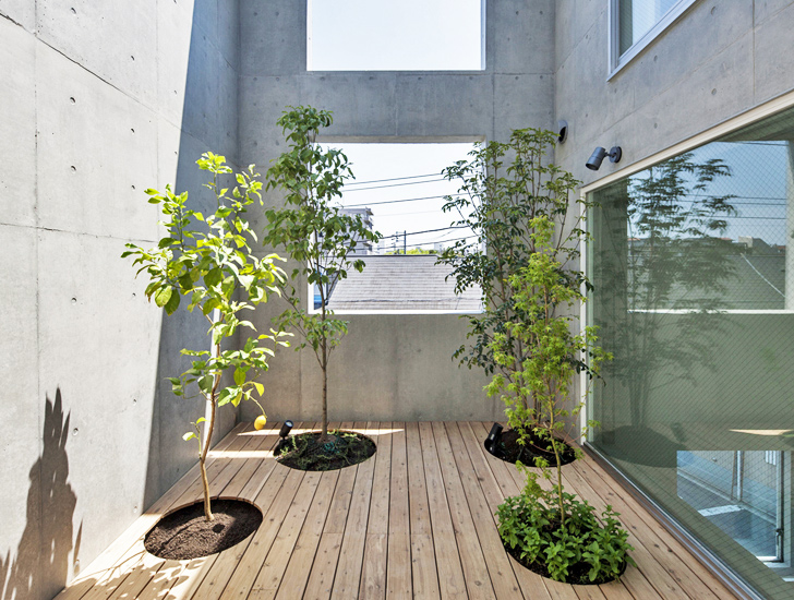 House-K Tokyo, interior gardens, residential architecture Tokyo, Japanese architects, K2YT architecture, Japanese architecture, natural light, exposed concrete house