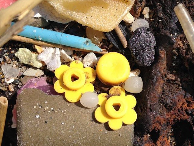 LEGO, Lego Lost at Sea, Cornwall, LEGO washed overboard, beachcombing, plastics, sea, floating plastics in the sea, pollution, ocean cleanup, Tokia Express, cargo ships, shipping containers, ocean currents, cleanup efforts