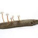 Great mushrooming, Yukio Takano, led lights, green lamps, reclaimed wood, reclaimed wood lamps, mushroom lamps, mushrooms, LED, low-energy lighting, sustainable design, sustainable lighting, energy-efficient lighting