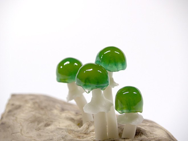 Great mushrooming, Yukio Takano, led lights, green lamps, reclaimed wood, reclaimed wood lamps, mushroom lamps, mushrooms, LED, low-energy lighting, sustainable design, sustainable lighting, energy-efficient lighting