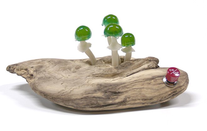 Great mushrooming, Yukio Takano, led lights, green lamps, reclaimed wood, reclaimed wood lamps, mushroom lamps, mushrooms, LED, low-energy lighting, sustainable design, sustainable lighting, energy-efficient lighting
