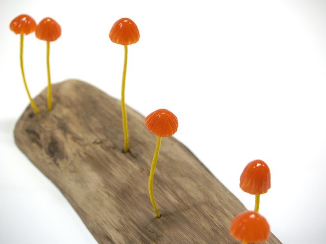 Great mushrooming, Yukio Takano, led lights, green lamps, reclaimed wood, reclaimed wood lamps, mushroom lamps, mushrooms, LED, low-energy lighting, sustainable design, sustainable lighting, energy-efficient lighting
