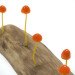 Great mushrooming, Yukio Takano, led lights, green lamps, reclaimed wood, reclaimed wood lamps, mushroom lamps, mushrooms, LED, low-energy lighting, sustainable design, sustainable lighting, energy-efficient lighting