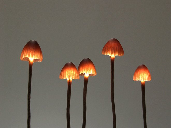 Great mushrooming, Yukio Takano, led lights, green lamps, reclaimed wood, reclaimed wood lamps, mushroom lamps, mushrooms, LED, low-energy lighting, sustainable design, sustainable lighting, energy-efficient lighting