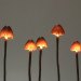 Great mushrooming, Yukio Takano, led lights, green lamps, reclaimed wood, reclaimed wood lamps, mushroom lamps, mushrooms, LED, low-energy lighting, sustainable design, sustainable lighting, energy-efficient lighting