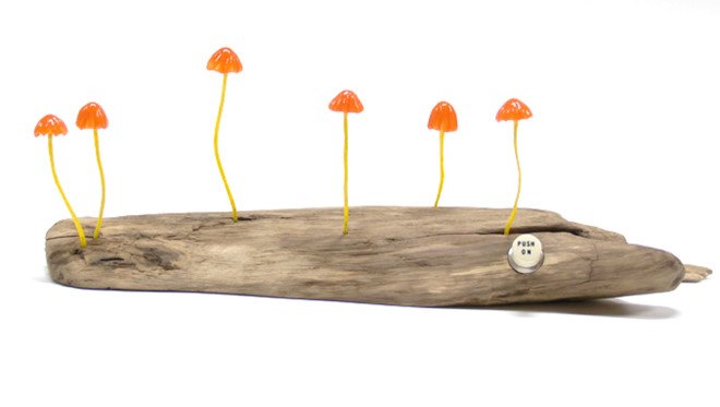 Great mushrooming, Yukio Takano, led lights, green lamps, reclaimed wood, reclaimed wood lamps, mushroom lamps, mushrooms, LED, low-energy lighting, sustainable design, sustainable lighting, energy-efficient lighting