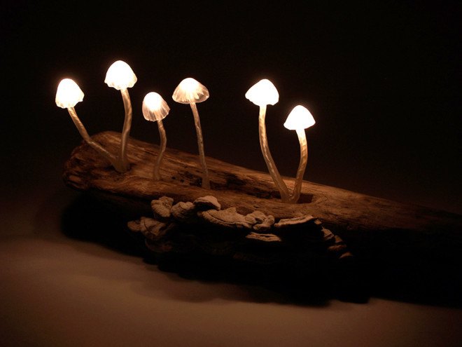Great mushrooming, Yukio Takano, led lights, green lamps, reclaimed wood, reclaimed wood lamps, mushroom lamps, mushrooms, LED, low-energy lighting, sustainable design, sustainable lighting, energy-efficient lighting