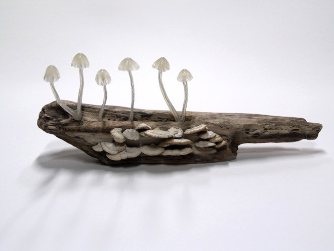 Great mushrooming, Yukio Takano, led lights, green lamps, reclaimed wood, reclaimed wood lamps, mushroom lamps, mushrooms, LED, low-energy lighting, sustainable design, sustainable lighting, energy-efficient lighting