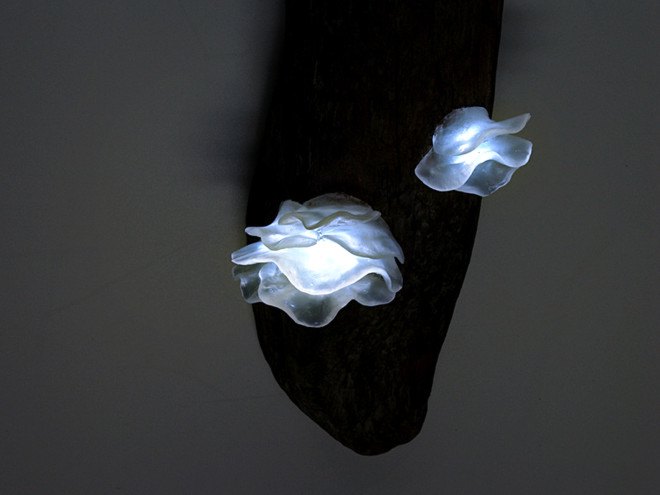 Great mushrooming, Yukio Takano, led lights, green lamps, reclaimed wood, reclaimed wood lamps, mushroom lamps, mushrooms, LED, low-energy lighting, sustainable design, sustainable lighting, energy-efficient lighting
