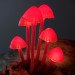 Great mushrooming, Yukio Takano, led lights, green lamps, reclaimed wood, reclaimed wood lamps, mushroom lamps, mushrooms, LED, low-energy lighting, sustainable design, sustainable lighting, energy-efficient lighting