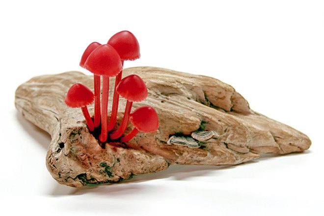 Great mushrooming, Yukio Takano, led lights, green lamps, reclaimed wood, reclaimed wood lamps, mushroom lamps, mushrooms, LED, low-energy lighting, sustainable design, sustainable lighting, energy-efficient lighting