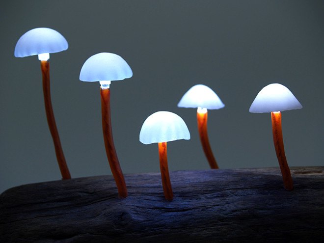 Great mushrooming, Yukio Takano, led lights, green lamps, reclaimed wood, reclaimed wood lamps, mushroom lamps, mushrooms, LED, low-energy lighting, sustainable design, sustainable lighting, energy-efficient lighting