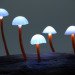 Great mushrooming, Yukio Takano, led lights, green lamps, reclaimed wood, reclaimed wood lamps, mushroom lamps, mushrooms, LED, low-energy lighting, sustainable design, sustainable lighting, energy-efficient lighting
