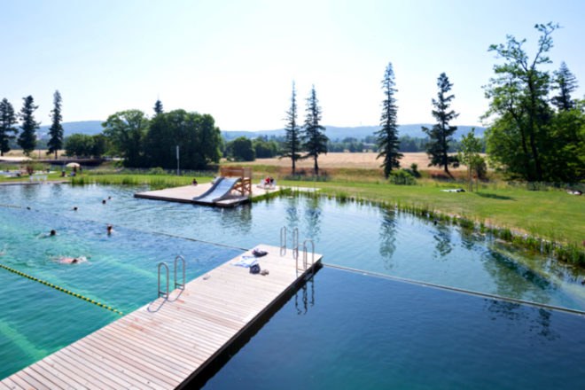 Naturbad Riehen, Herzog & de Meuron, switzerland, natural swimming pool, riehen, chlorine-free swimming pool, swimming pool
