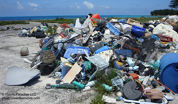 Angela Sun, documentary, plastic paradise, independent journalism, indie documentary, midway atoll, great pacific garbage patch, plastic pollution, plastic waste, pacific ocean garbage, pacific trash heap, environmental destruction, reader submitted content