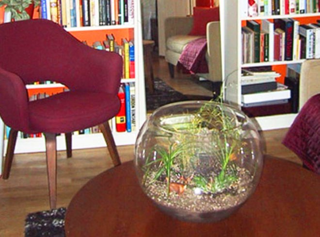 Terrarium, terrariums, glass bowl, glass bowl terrariums, DIY, How-to, how to, how to make a terrarium, make your own terrarium, moss, stones, rocks, sphagnum, miniatures, scenes, animal terrarium
