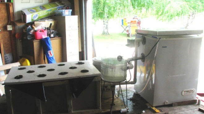 Aquaponics, cold weather aquaponics, aquaponic, DIY aquaponics, cold weather aquaponics, cold climate aquaponics, fish, fish tank, aquaponic vegetables, fridge aquaponics