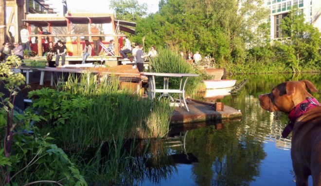 green design, eco design, sustainable design, De Ceuvel, brownfield, recycled houseboat, space&matter, urban oasis Amsterdam, soil cleansing plants