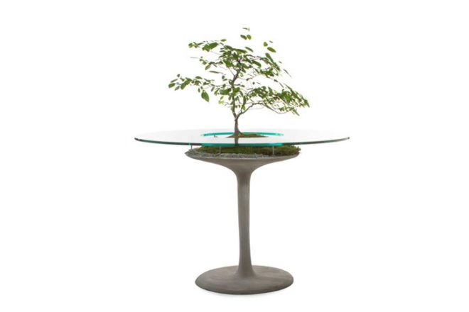 Opiary, opiary, furniture, terraformed furniture, plant furniture, plants, ferrocement, green cement, outdoor furniture, indoor furniture, indoor plants, green furniture, NY Now