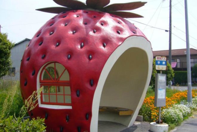 green bus stop, recycled green bottles, Japanese fruit-shaped bus stop, solar powered bus stop, green roofed bus stop, Lundberg Design, Aaron Scales, Dutch WVTTK Architects