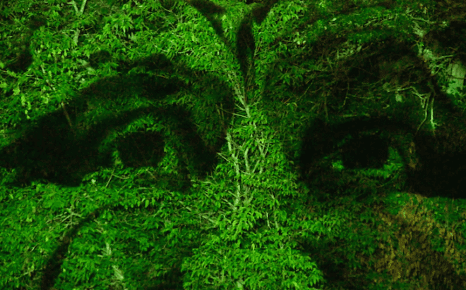 Maizz Visual, blink twice, audiovisual installation, reader submitted content, summer set music festival, wisconsin, trees, video installation, 3d motion faces, 3d motion projection, green man, green men, video projectors