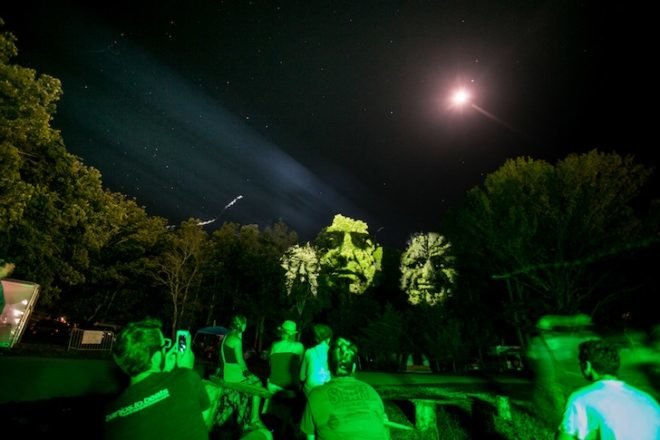 Maizz Visual, blink twice, audiovisual installation, reader submitted content, summer set music festival, wisconsin, trees, video installation, 3d motion faces, 3d motion projection, green man, green men, video projectors