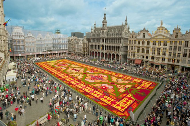 flower carpet, flower carpet brussels, brussels flower art, begonia art, begonia art, flower art, flower mandala, grass wheel, rolled turf, public art brussels