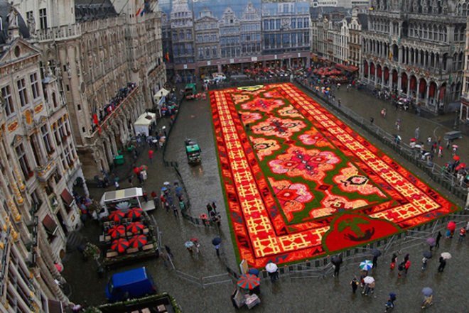 flower carpet, flower carpet brussels, brussels flower art, begonia art, begonia art, flower art, flower mandala, grass wheel, rolled turf, public art brussels