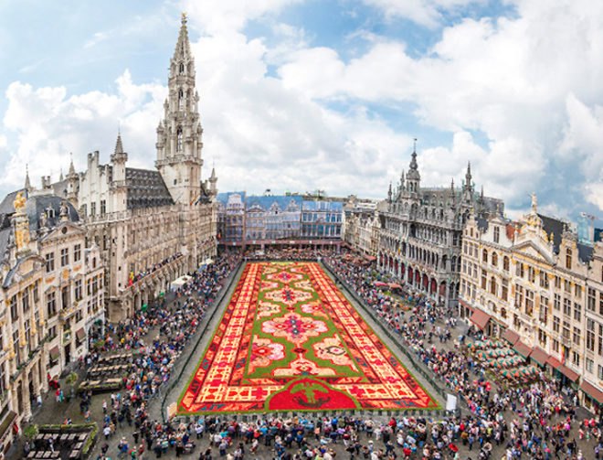 flower carpet, flower carpet brussels, brussels flower art, begonia art, begonia art, flower art, flower mandala, grass wheel, rolled turf, public art brussels