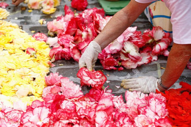 flower carpet, flower carpet brussels, brussels flower art, begonia art, begonia art, flower art, flower mandala, grass wheel, rolled turf, public art brussels