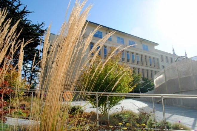 INTERSTICE Architects, University of San Francisco Center for Science, landscape architecture, green design, sustainable design, leed, native plants, stormwater, san francisco, interstice, landscape design, NBBJ, BKF, green roof, rainwater harvesting