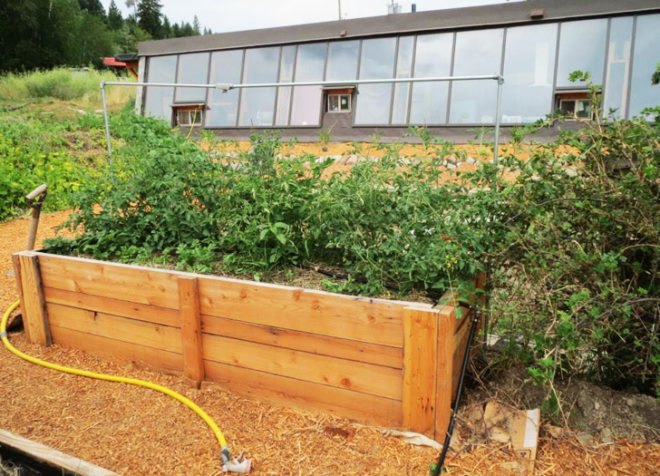 Sandra Burkholder, darfield earthship, tires, old tires, rammed earth, earthship, greywater, graywater, grey water, gray water, hugelkultur, permaculture, sustainable permaculture, permaculture gardening, low impact, low impact house, low-impact, low-impact living, perennials, perennial, perennial garden, raised garden beds, Home Made from Old Tires and Pop Cans, , recycled home, green home, recycled materials, green design, eco design, sustainable design, eco architecture, green architecture