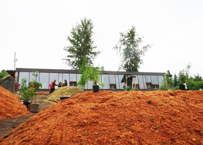 Sandra Burkholder, darfield earthship, tires, old tires, rammed earth, earthship, greywater, graywater, grey water, gray water, hugelkultur, permaculture, sustainable permaculture, permaculture gardening, low impact, low impact house, low-impact, low-impact living, perennials, perennial, perennial garden, raised garden beds, Home Made from Old Tires and Pop Cans, , recycled home, green home, recycled materials, green design, eco design, sustainable design, eco architecture, green architecture