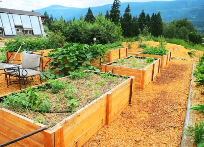 Sandra Burkholder, darfield earthship, tires, old tires, rammed earth, earthship, greywater, graywater, grey water, gray water, hugelkultur, permaculture, sustainable permaculture, permaculture gardening, low impact, low impact house, low-impact, low-impact living, perennials, perennial, perennial garden, raised garden beds, Home Made from Old Tires and Pop Cans, , recycled home, green home, recycled materials, green design, eco design, sustainable design, eco architecture, green architecture