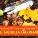 Guerilla gardening, guerrilla gardening, fall gardening, fall garden, autumn gardening, autumn garden, bulbs, flower bulbs, garlic, crocus, snowdrops, daffodils, bluebells, astilbe, spinach, peas, beans