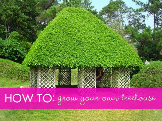 DIY playhouse, DIY den, DIY teepee, Willow den, Bean teepee, Bean playhouse, Beanpole getaway, beanpole playhouse, beanpole teepee, willow playhouse, growing playhouses, green playhouses, eco playhouse, green teepee, growing teepee, eco teepee, eco play, Grow a playhouse, grow a den, grow a teepee