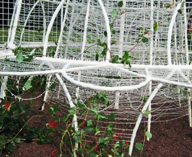 Hummingbird Palace, hummingbird palace, hummingbird, hummingbirds, Esther Solondz, vines, sculpture, sculptures, pollinators, birds, bird, habitat, avian, avian habitat, hummingbird species, Providence, Rhode Island