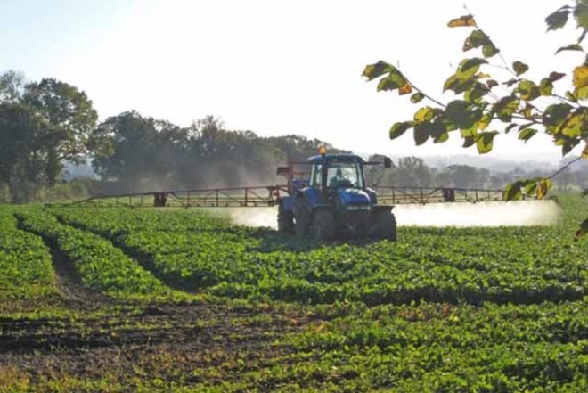 the netherlands, russia, tasmania, mexico, monsanto, roundup, glyphosate, herbicides, dutch parliament, cancer, infertility, birth defects, nervous system damage, kidney disease, roundup, esther ouwehand, party of animals, gerard schoue, PvdA, CU, 50+, Groenlinks, SP, PVV, gifkikker.nl, bollenboos, dutch health council, FDA, USDA